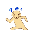 わをちゃんのスタンプ（個別スタンプ：5）