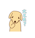 わをちゃんのスタンプ（個別スタンプ：11）
