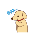 わをちゃんのスタンプ（個別スタンプ：14）