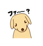 わをちゃんのスタンプ（個別スタンプ：19）