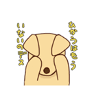 わをちゃんのスタンプ（個別スタンプ：21）