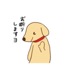 わをちゃんのスタンプ（個別スタンプ：24）