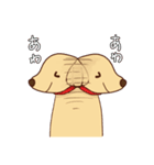 わをちゃんのスタンプ（個別スタンプ：28）