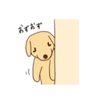 わをちゃんのスタンプ（個別スタンプ：29）