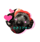 ♡我が家の愛犬♡（個別スタンプ：5）