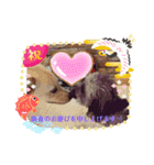 ♡我が家の愛犬♡（個別スタンプ：6）
