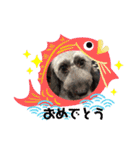 ♡我が家の愛犬♡（個別スタンプ：11）