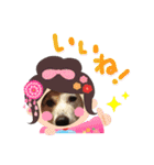 ♡我が家の愛犬♡（個別スタンプ：13）
