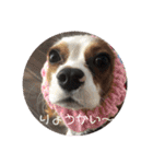♡我が家の愛犬♡（個別スタンプ：20）