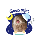 はるくん。そのに（個別スタンプ：15）