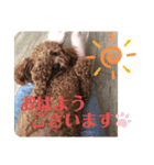 ぷぅちゃん特別スタンプ♡（個別スタンプ：2）