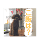 ぷぅちゃん特別スタンプ♡（個別スタンプ：5）