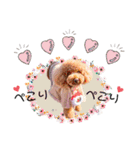 そらジローのスタンプPart②（個別スタンプ：8）