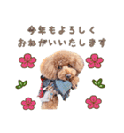 そらジローのスタンプPart②（個別スタンプ：9）