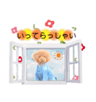そらジローのスタンプPart②（個別スタンプ：10）
