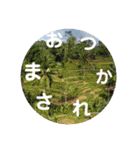 旅先で撮った写真とよく使う言葉達②バリ編（個別スタンプ：27）