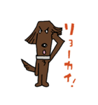 お茶目なフラットコート（レバー）（個別スタンプ：1）