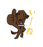 お茶目なフラットコート（レバー）（個別スタンプ：5）