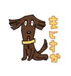 お茶目なフラットコート（レバー）（個別スタンプ：24）