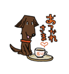 お茶目なフラットコート（レバー）（個別スタンプ：25）