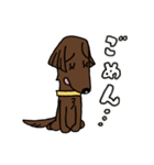 お茶目なフラットコート（レバー）（個別スタンプ：35）