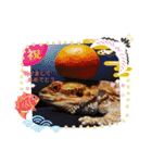 うちの爬虫たち（個別スタンプ：20）