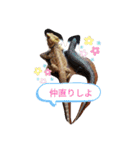 うちの爬虫たち（個別スタンプ：21）