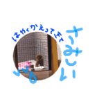 プードル＊ひな（個別スタンプ：33）