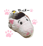 #うにまろ（個別スタンプ：2）