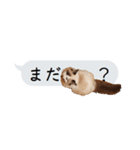 猫と犬の吹き出し（個別スタンプ：36）