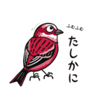 トリStamp●ふゆの鳥（個別スタンプ：22）