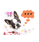 ボストンケンネル  OB会①（個別スタンプ：7）