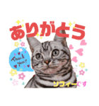 ボストンケンネル  OB会①（個別スタンプ：8）