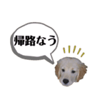 elfの毎日スタンプ（個別スタンプ：8）