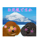 トイプーちゃん 冬ver.（個別スタンプ：4）