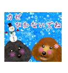 トイプーちゃん 冬ver.（個別スタンプ：5）