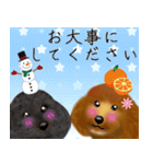 トイプーちゃん 冬ver.（個別スタンプ：6）