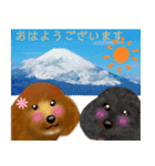 トイプーちゃん 冬ver.（個別スタンプ：17）