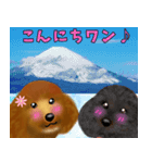 トイプーちゃん 冬ver.（個別スタンプ：18）
