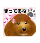 トイプーちゃん 冬ver.（個別スタンプ：24）