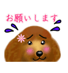 トイプーちゃん 冬ver.（個別スタンプ：25）