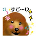 トイプーちゃん 冬ver.（個別スタンプ：31）