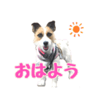 目ヂカラ・あにこの毎日（個別スタンプ：1）