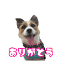 目ヂカラ・あにこの毎日（個別スタンプ：5）