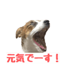目ヂカラ・あにこの毎日（個別スタンプ：11）