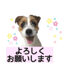 目ヂカラ・あにこの毎日（個別スタンプ：12）