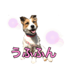 目ヂカラ・あにこの毎日（個別スタンプ：17）