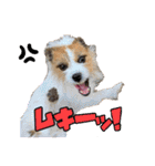 目ヂカラ・あにこの毎日（個別スタンプ：18）