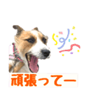 目ヂカラ・あにこの毎日（個別スタンプ：21）