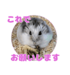 Ham ω Mediaのスタンプです -PART 1-（個別スタンプ：1）